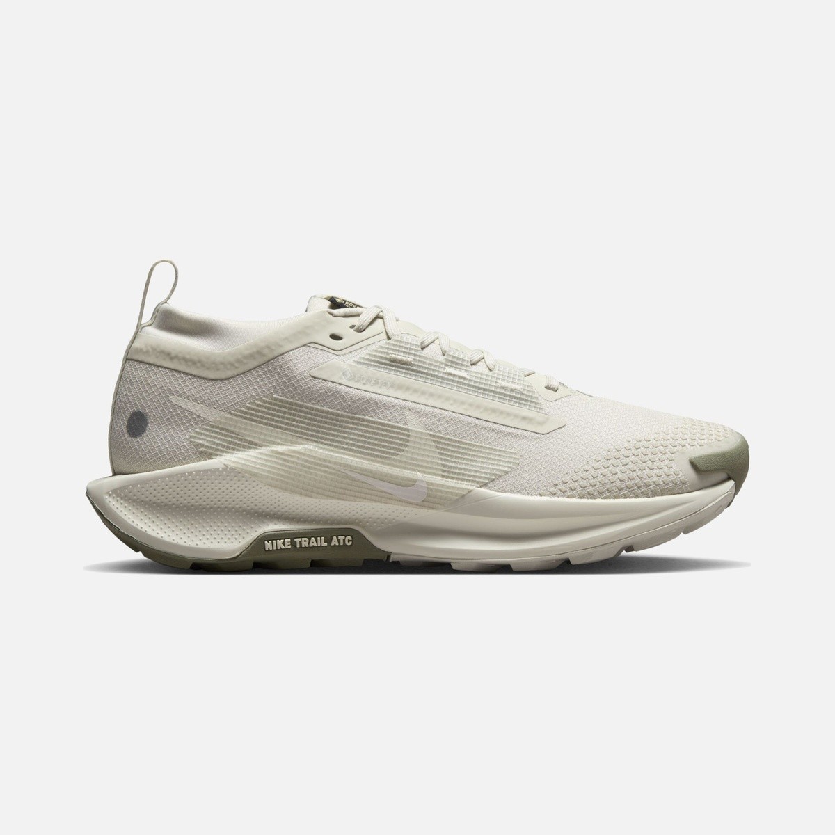 Nike Pegasus Trail 5 GORE-TEX Spor Ayakkabı FQ0912-006